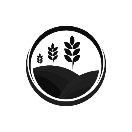 Feuilzyra Soldes Boutique